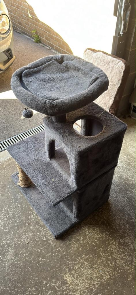 Cat activity box/house