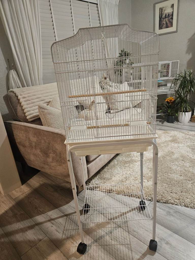 White bird cage & stand