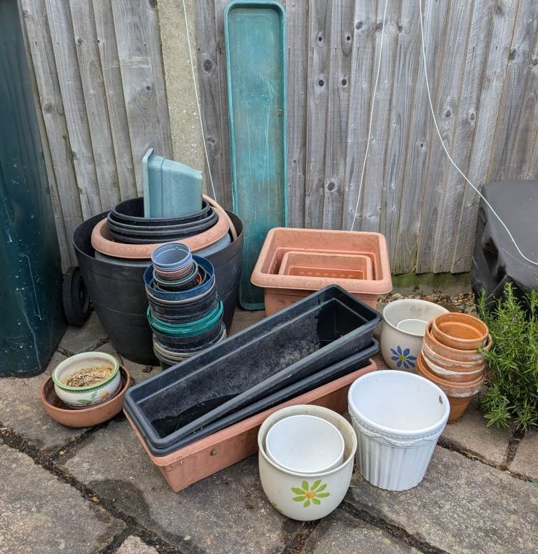 Selection of plant pots