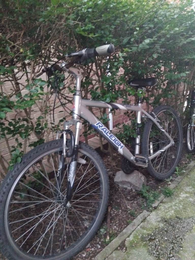 image for Raleigh bike for sale