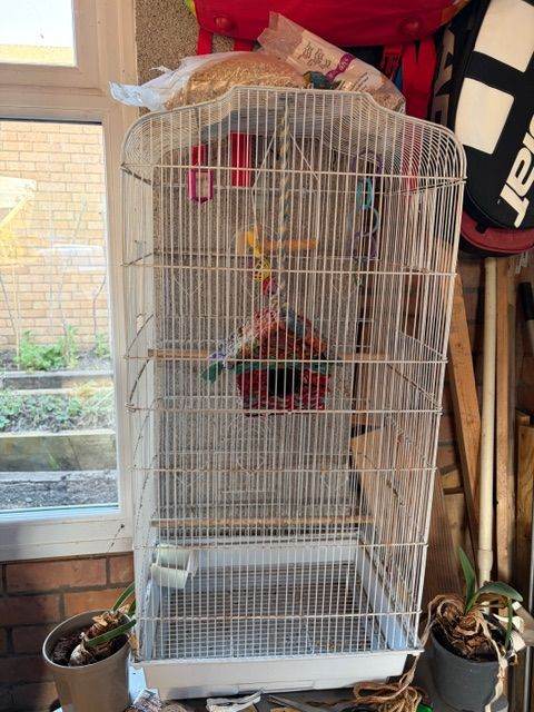 bird cage