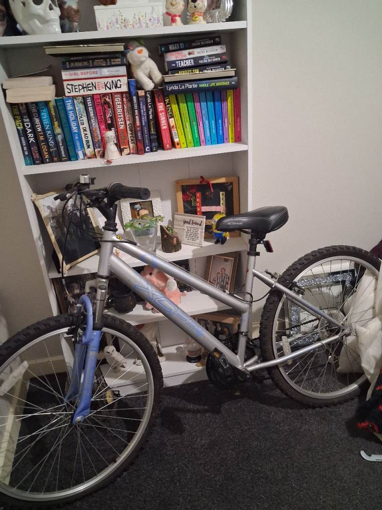 Mountain bike 