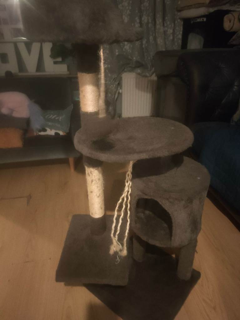Free cat scratch post 