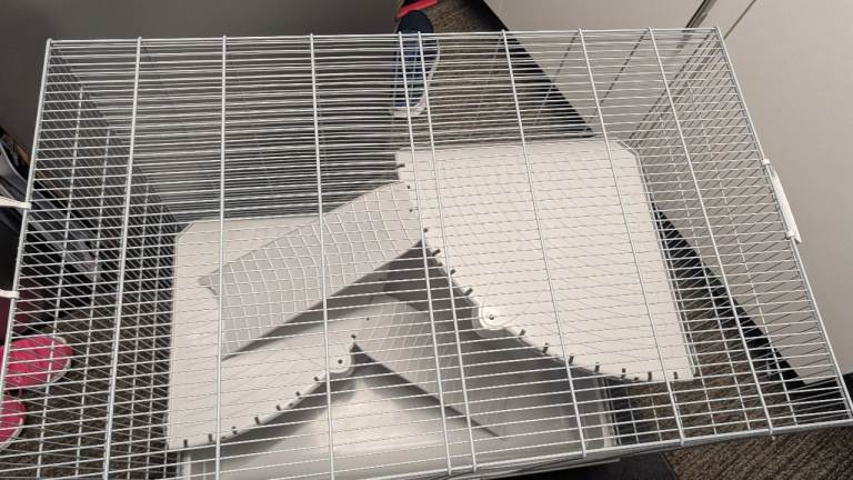 Rat / small animal cage 