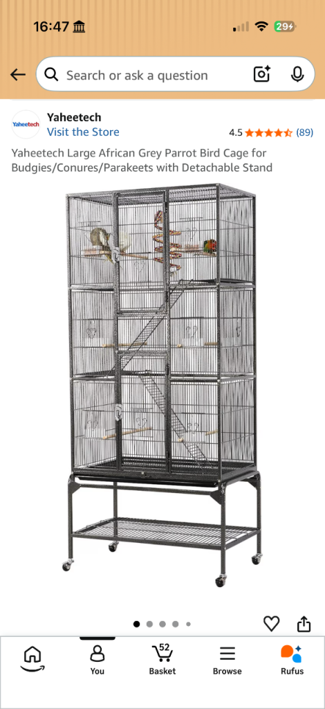 Bird Cage 