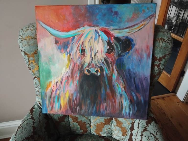 Canvas picture  highland cow very coloured 