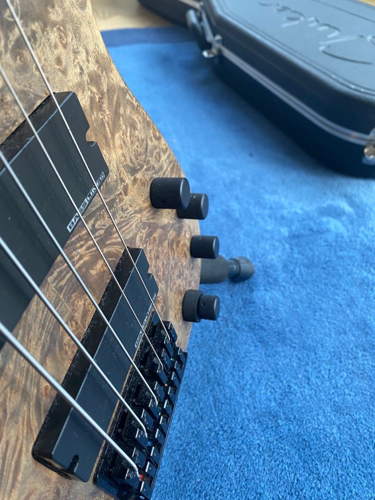 Shuker horn 5 string bass.