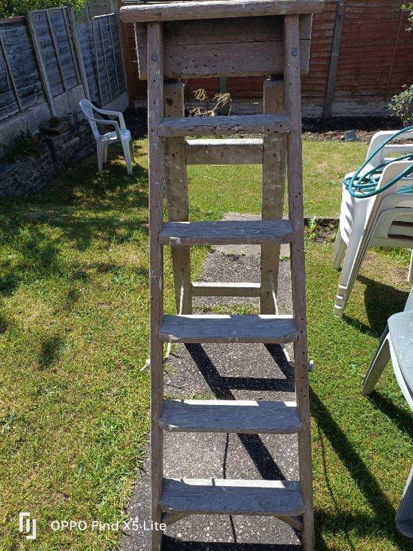 Wooden sturdy ladder 