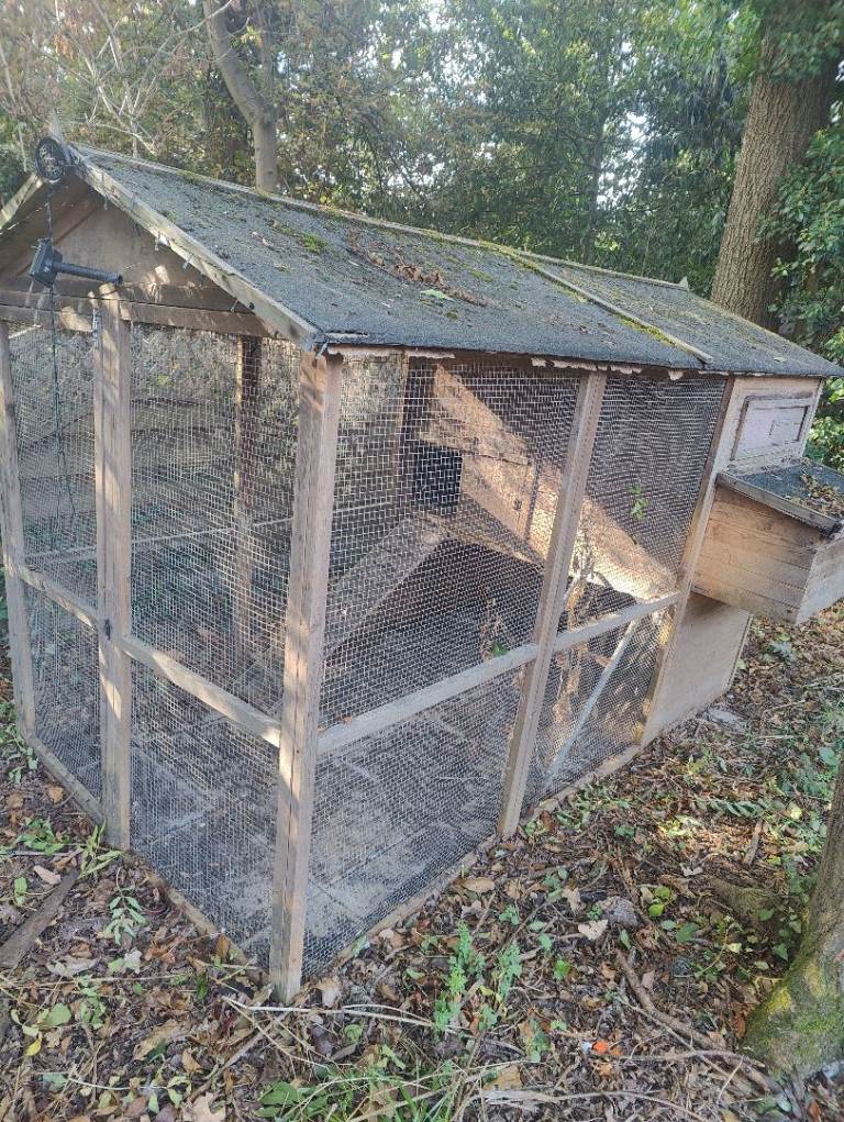 Chicken coop or Dog house