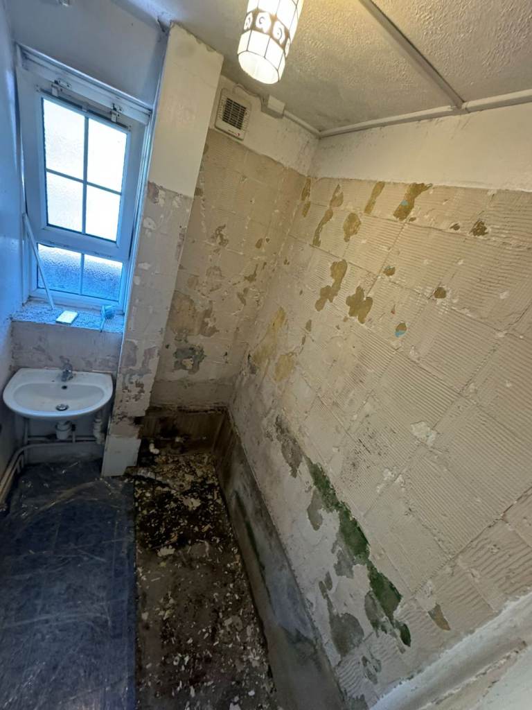 PLUMBER, TILER AND HANDYMAN 