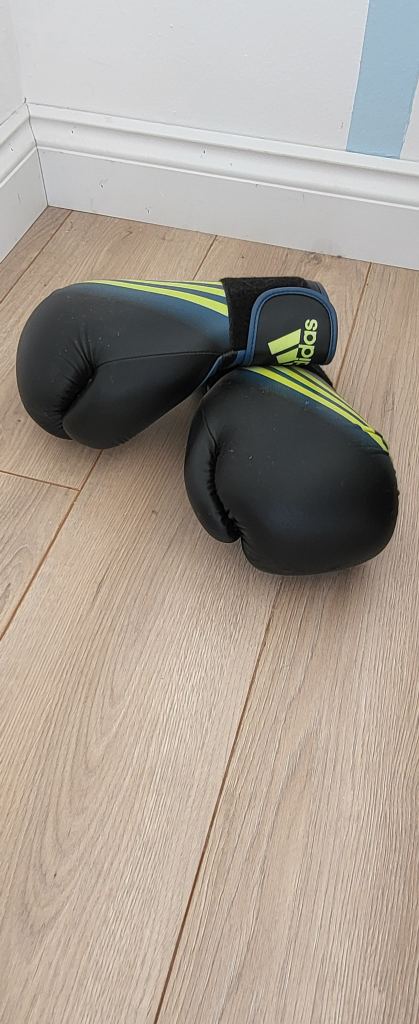 Adidas boxing gloves 