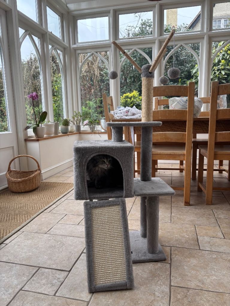 ** Cat tower for sale **