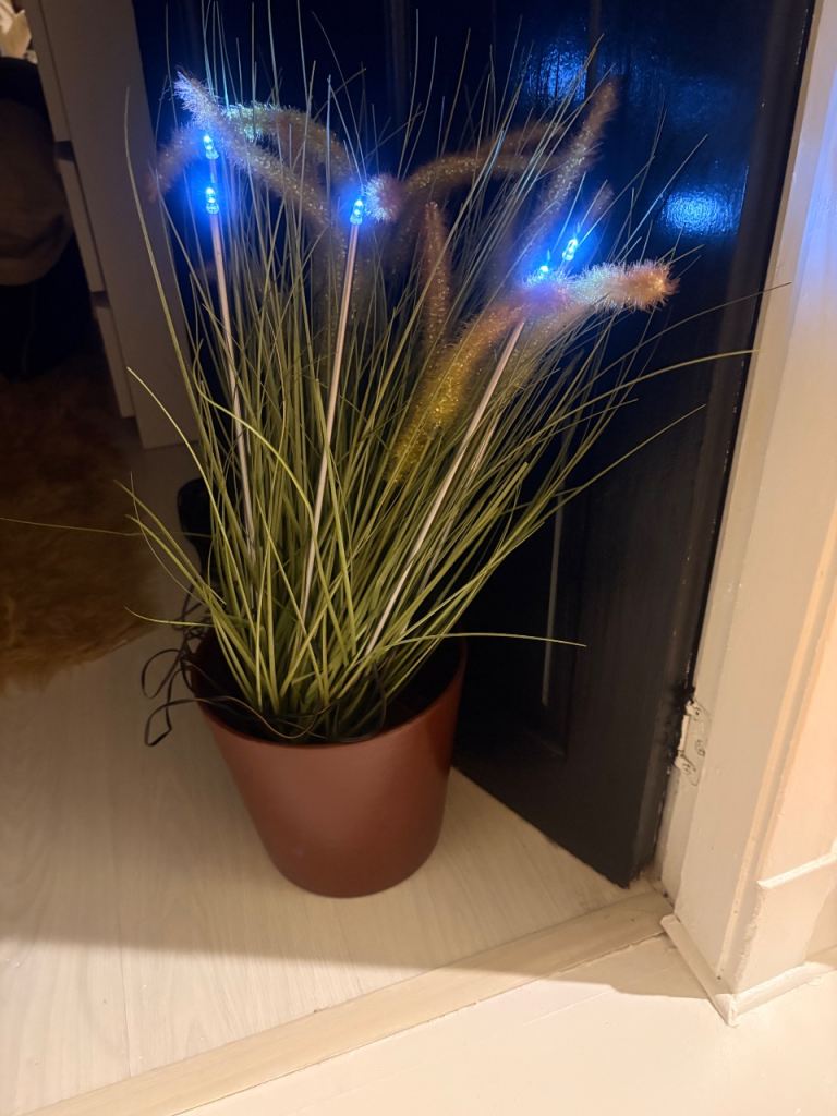 Decorative plant lights