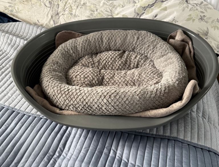 Dog bed medium sized