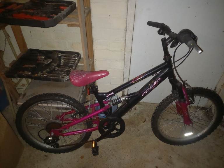 Junior Girl's Mountain bike 