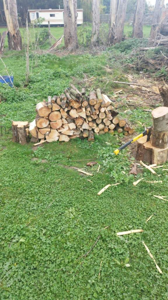 Seasoned Softwood Logs - ready to burn