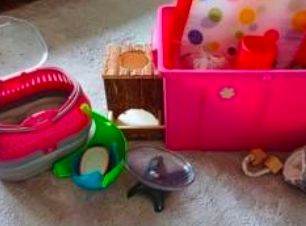 Hamster / small pet accessories