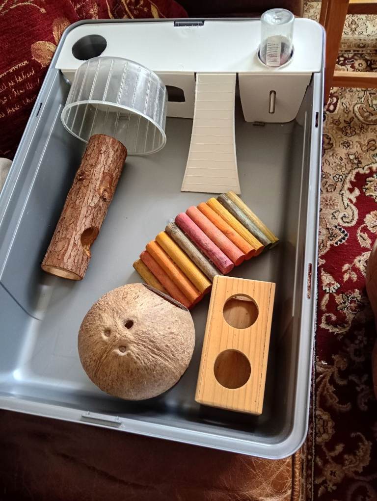 Hamster cage and accessories. 