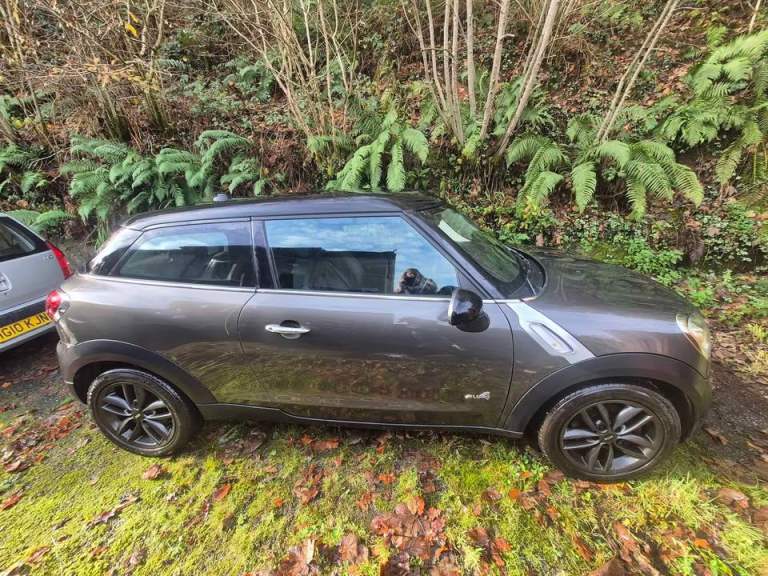 Mini, PACEMAN, Coupe, 2013, Manual, 1598 (cc), 3 doors low mileage new mot. DIESEL