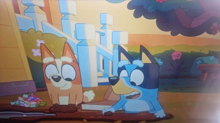 Panasonic TX-43GX555B 43-inch Smart LED TV – Good Condition