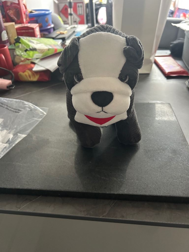 MINI bulldog teddy