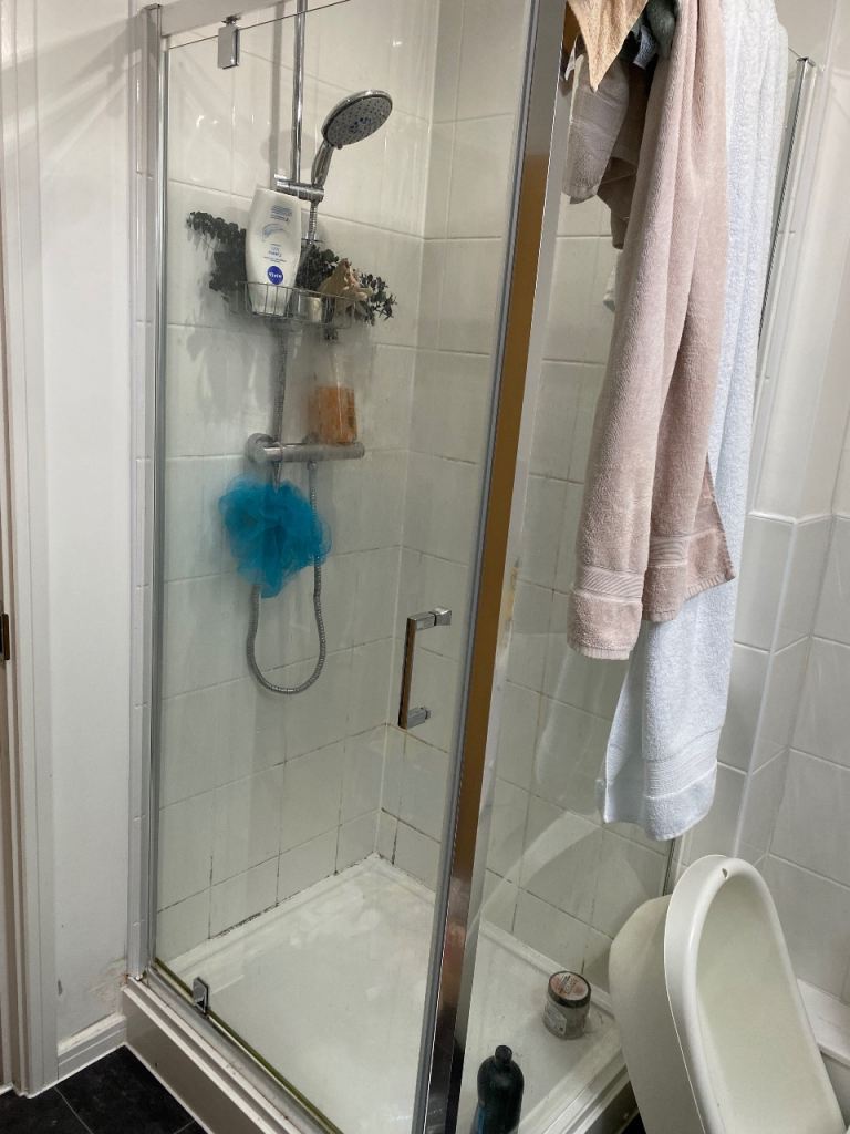 Professional Domestic Cleaner – Reliable & Detail-Oriented 