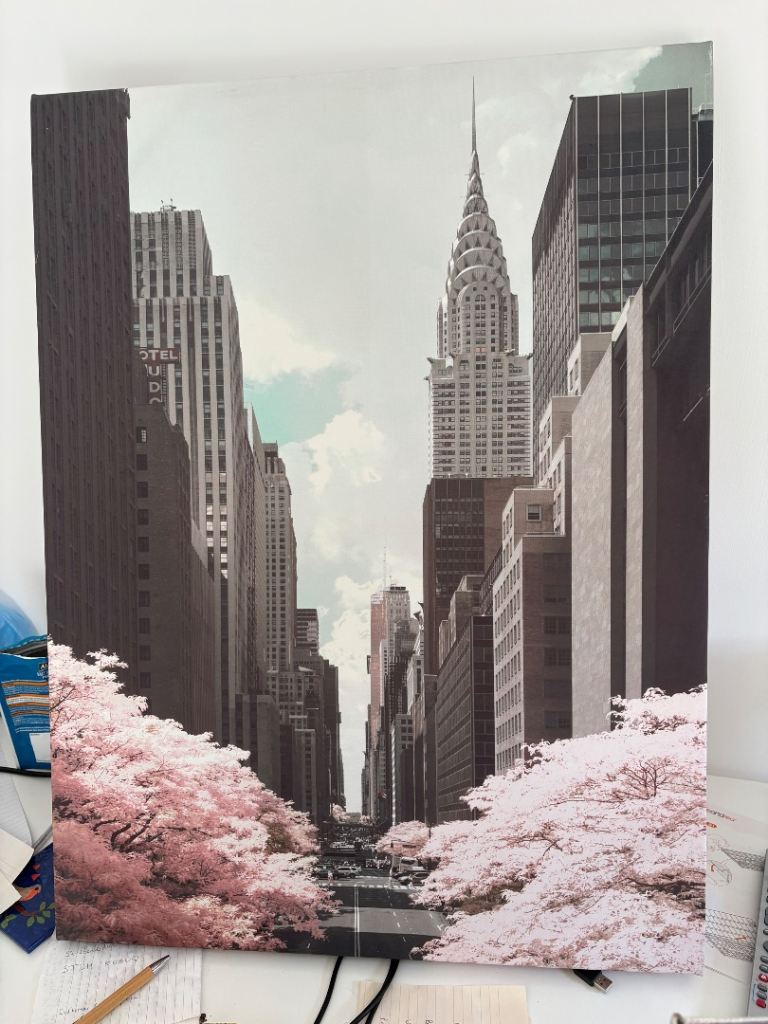 New York City canvas print 