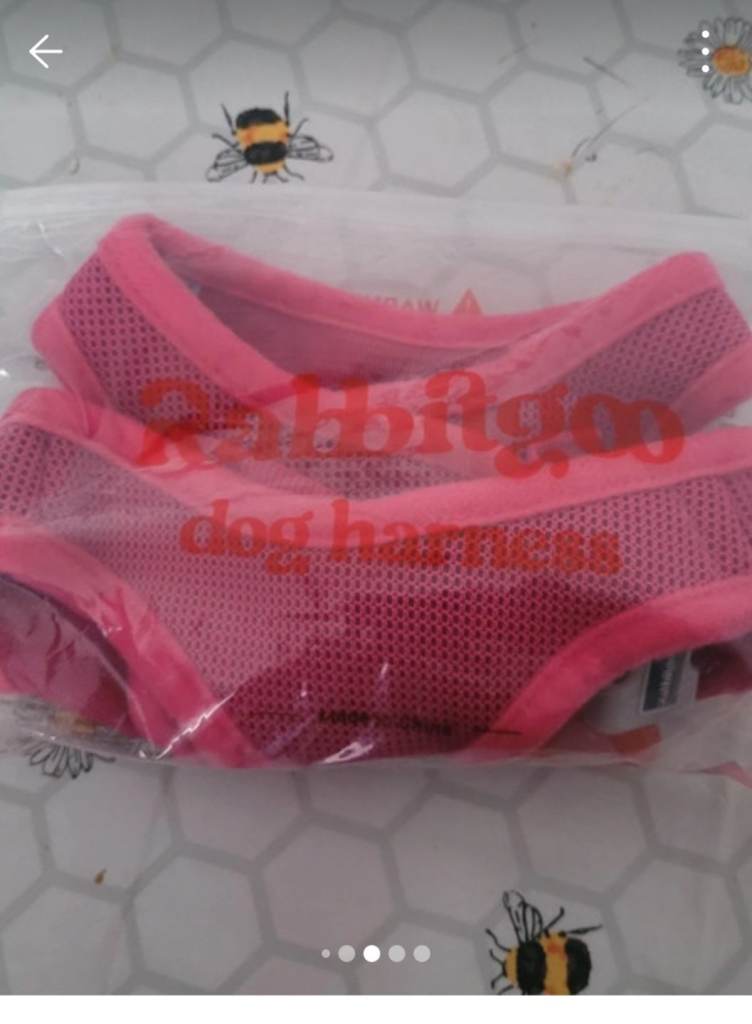 Puppy harness and collar both small 