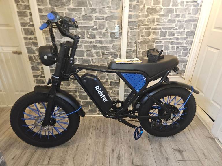 Electric mountain bike