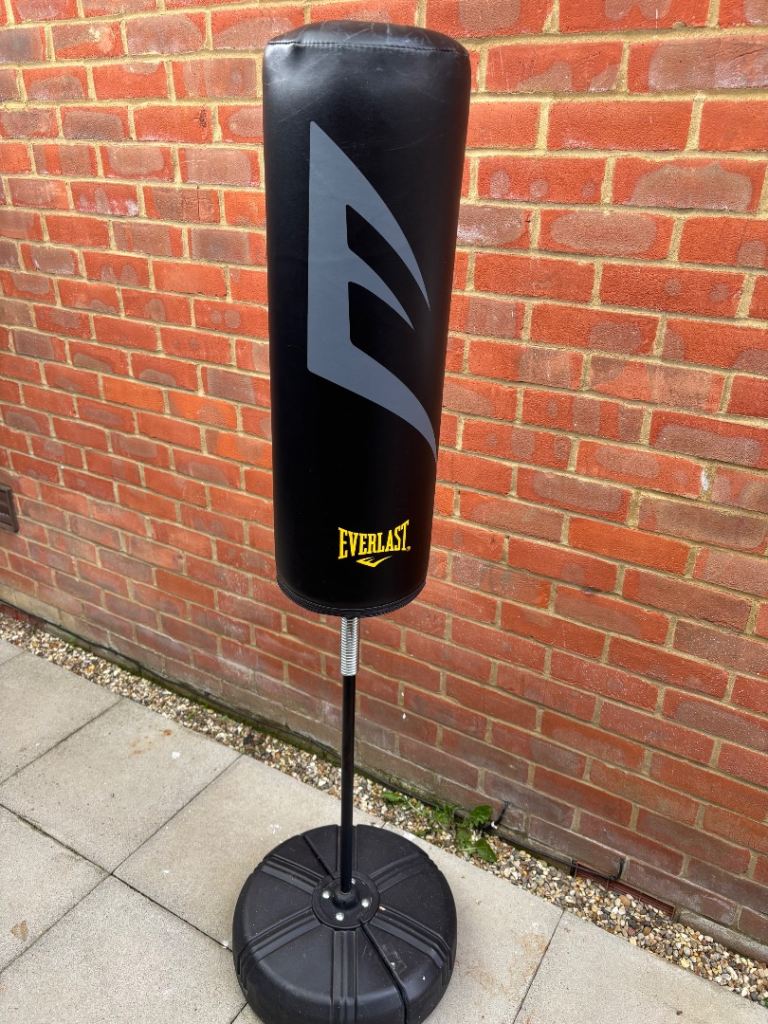 Everlast fitness / punch bag