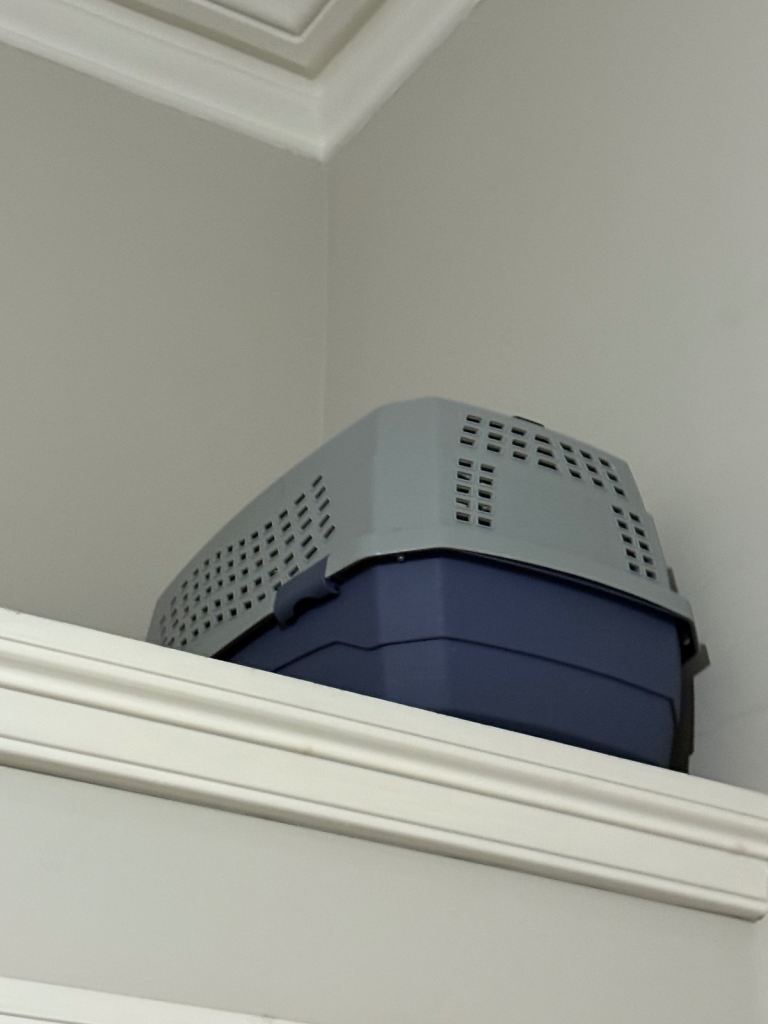 pet carrier in good condition