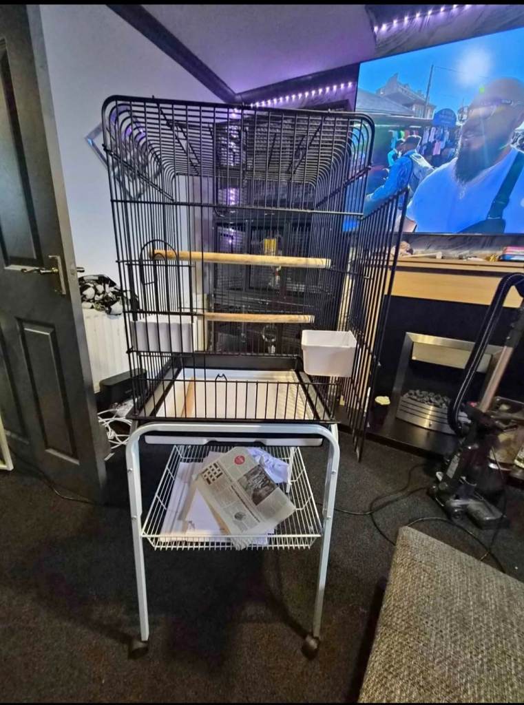 Large bird cage