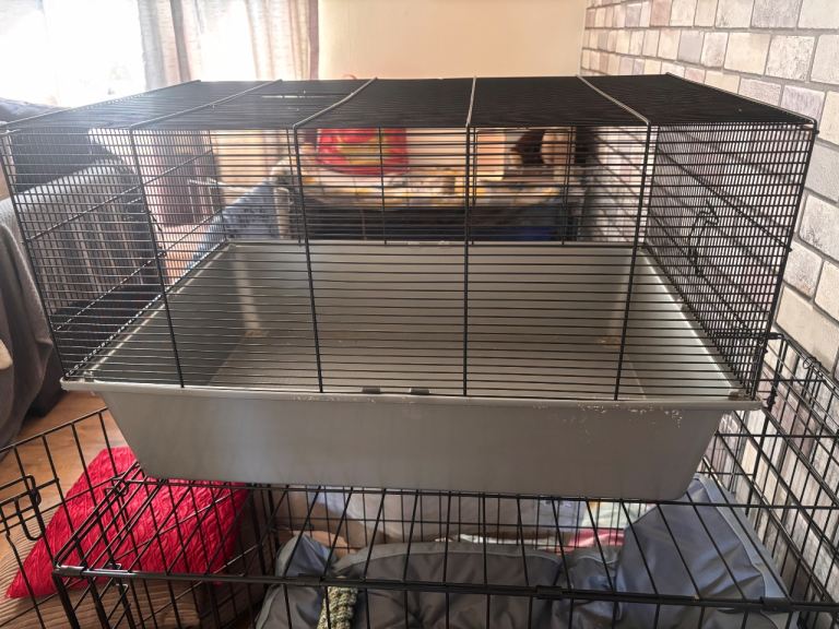 Hamster cage 