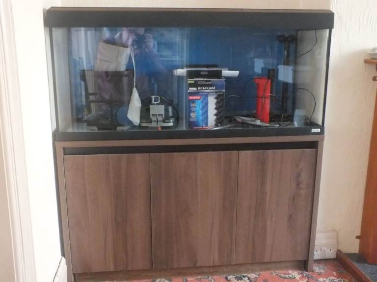 Roma 240 Aquarium and cabinet