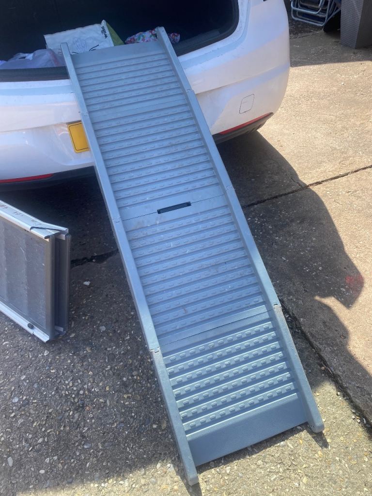 Light weight dog ramp