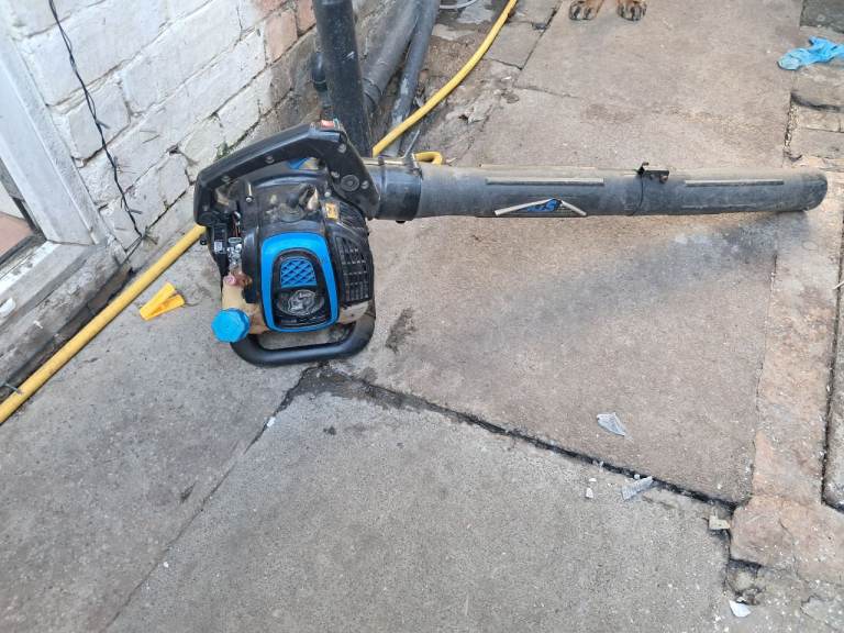 Sgs leaf blower 
