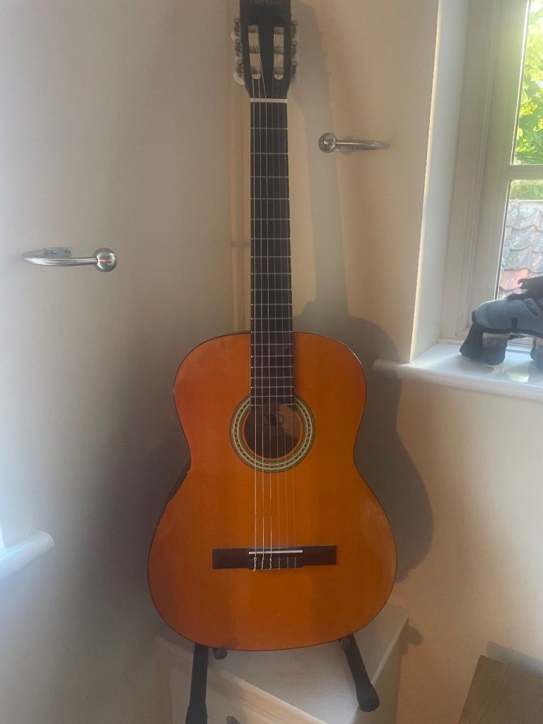 Guitar