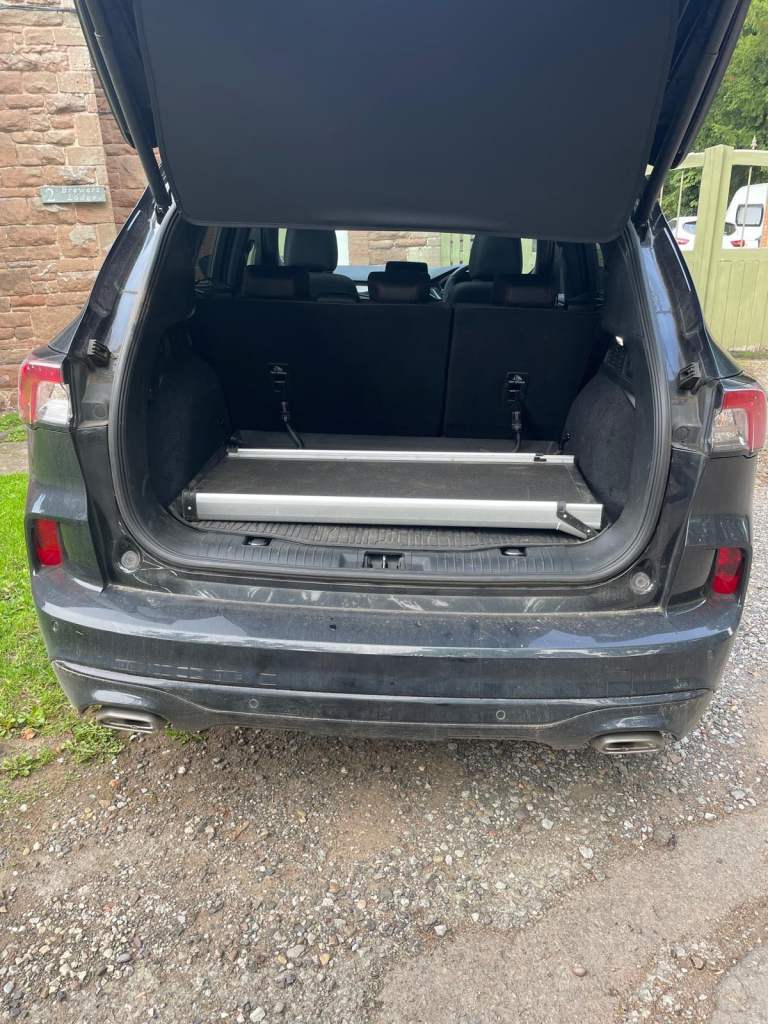 DOG RAMP FOR CAR 