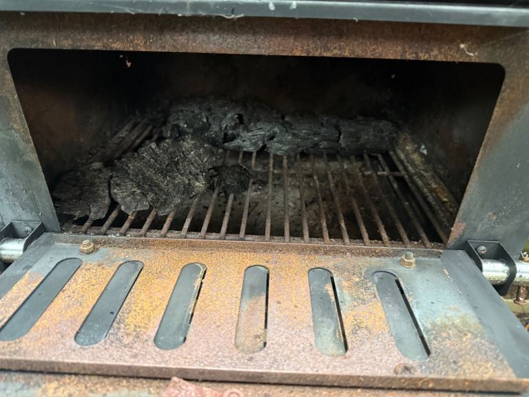 Pizza Oven and Smoker