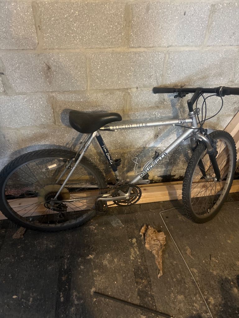 Silver Mountain Bike – Fair Condition