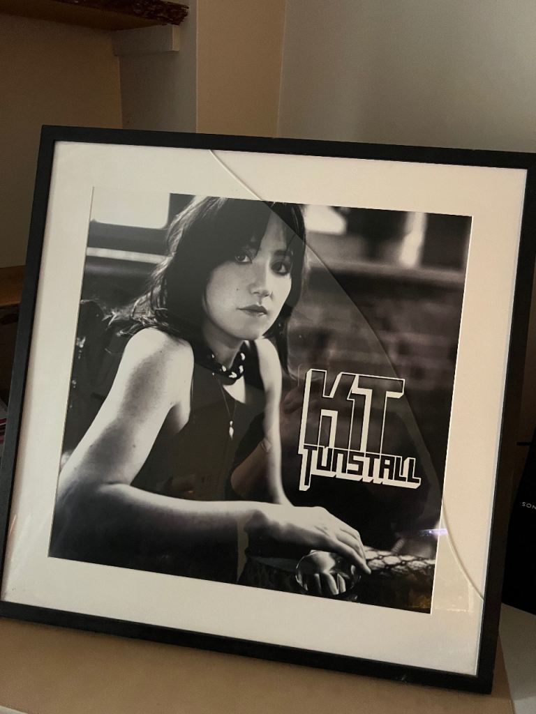 KT Tunstall Framed Print