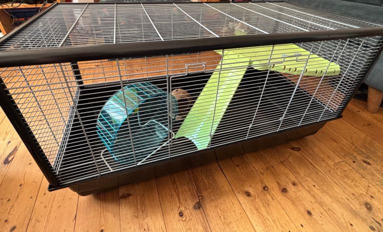 Large Hamster/Mouse cage ( Pets at Home )