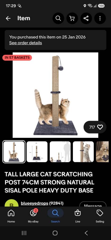 Cat scratcher 