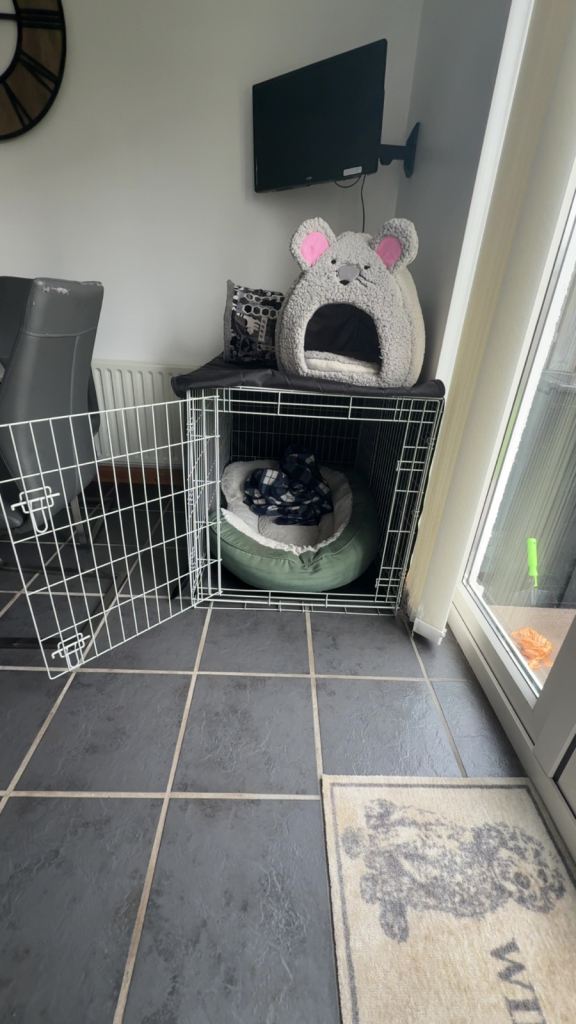 XXL Dog Crate