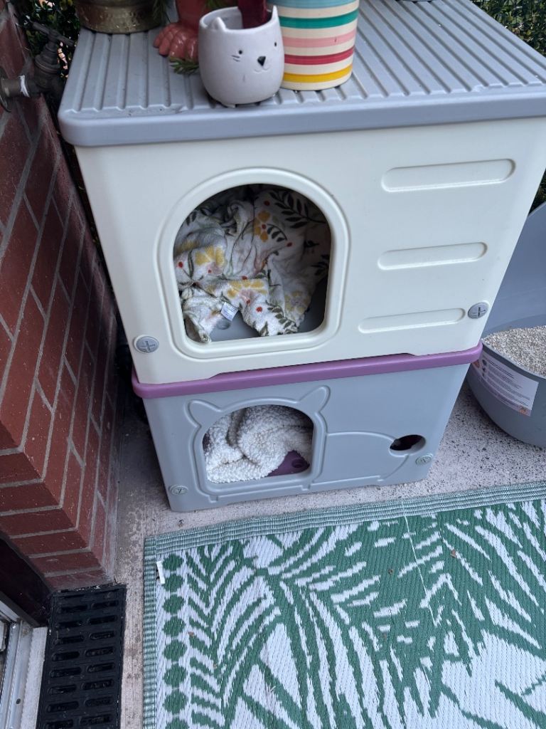 Outdoor cat house