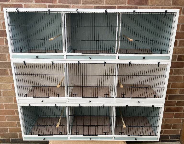 X 3 Triple Breeding Cages Finch Canary