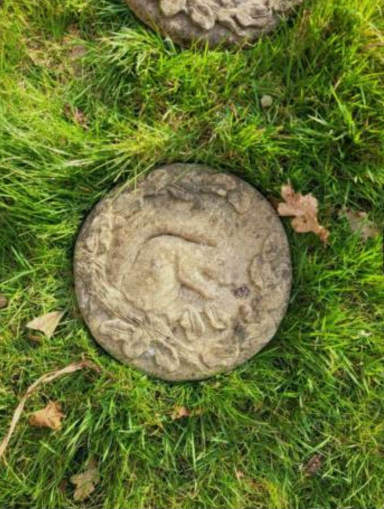 * 10 x RARE * SQUIRREL * QUALITY STEPPING STONES - ORNAMENT PAVING GARDEN PATIO DECORATION