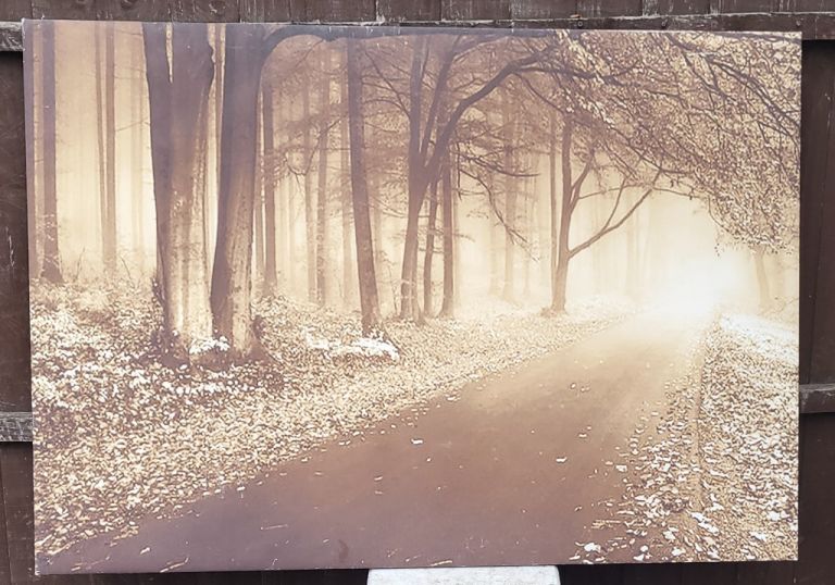 Winter picture 