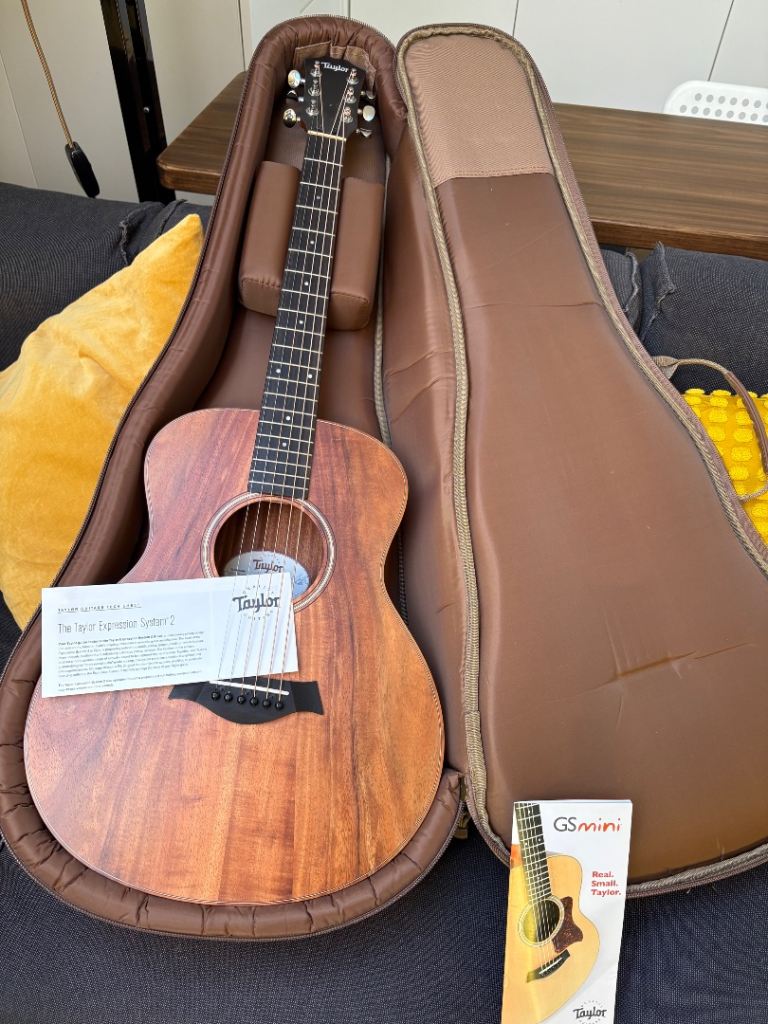 Taylor GS-mini Accoustic Guitar  LH