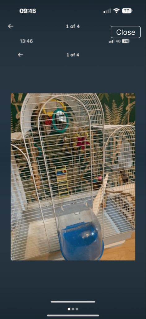 Cage 